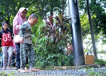 DKI Jakarta Belum Punya Masterplan Ruang Terbuka Hijau