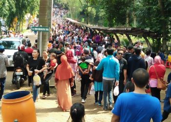 Wahana Primata Menjadi Favorit Pengunjung Ragunan