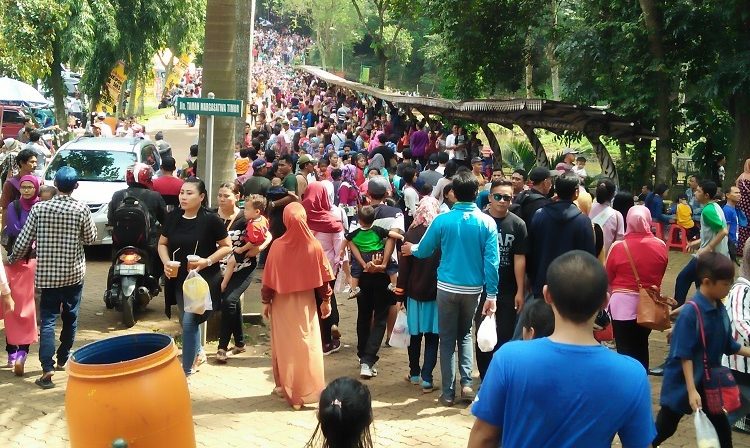 Wahana primata jadi destinasi favorit wisatawan di TMR Ragunan. Foto: Istimewa