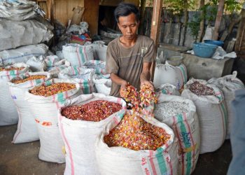 Pekerja menata karung berisi cacahan plastik di salah satu usaha daur ulang limbah plastik.