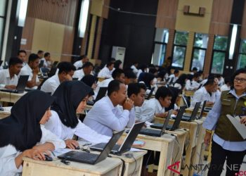 lowongan CPNS
