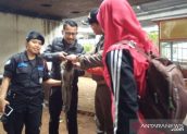Monyet Liar Juga Teror Warga