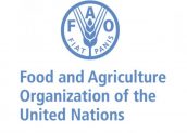 FAO : Integrasi Statistik Pertanian Fondasi Mencapai Ketahanan Pangan