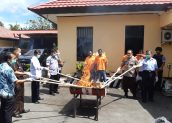 5,3 Kilogram Ganja dan 236 Gram Sabu Dibakar Polda Papua