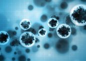 Meningkat, Kasus Tuberkulosis Masih Menjadi Momok Kesehatan di Jayapura