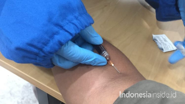 rapid test