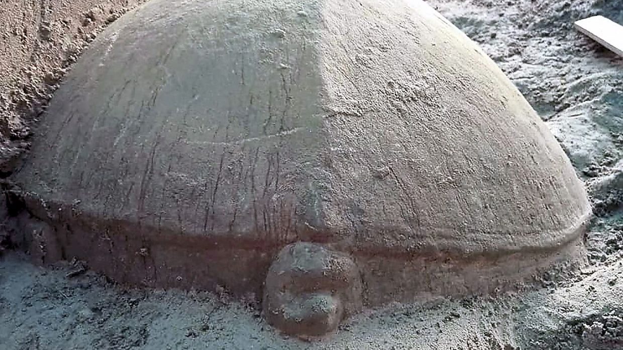 Patung Kura-Kura Raksasa Ditemukan di Kuil Angkor