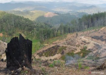 DPR: Banjir Kalsel Akibat Perambahan Hutan yang Keterlaluan