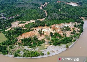 Walhi: Hutan Lindung Aceh Rusak Gara-Gara Tambang Emas Ilegal