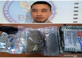 Bandar Ganja Manfaatkan Kelengahan Petugas yang Membantu Korban Banjir Kalsel