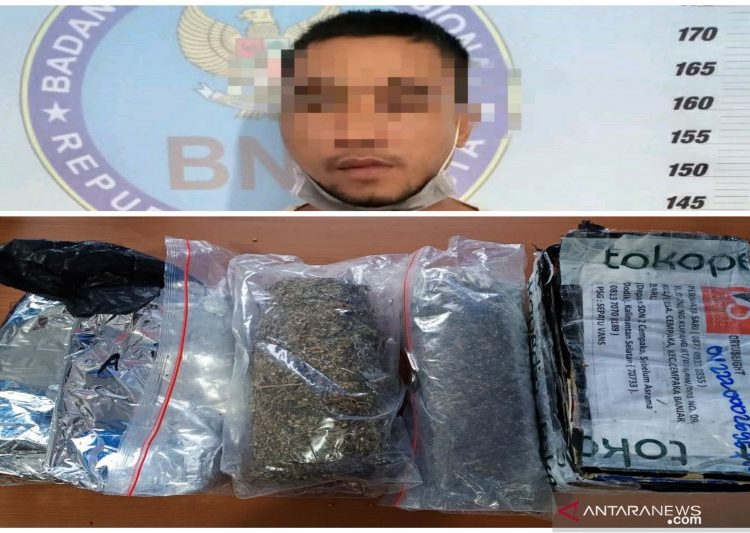 Tersangka bandar ganja yang tertangkap di Kalsel. Foto: Antara