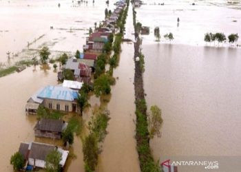 Banjir di Kalsel: Warga Temukan Lima Mayat, Satu Desa di Hulu Sungai Tengah Porak Poranda