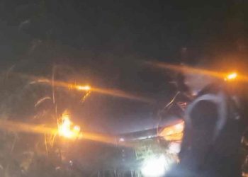 Tujuh Warga Tasikmalaya Tersesat di Hutan akibat Hujan Deras dan Kabut Tebal