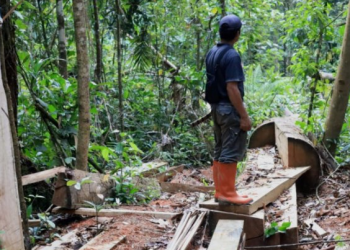 Kesal Banyak Penebangan Liar di Kalsel, DPRD: Itu Polisi Hutan Ngapain Saja
