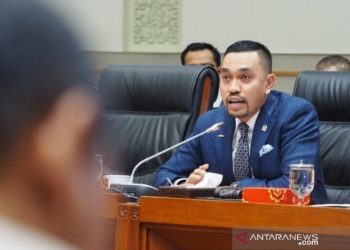 Sahroni Soroti Tewasnya Warga Bali Usai Dikeroyok 7 Debt Collector