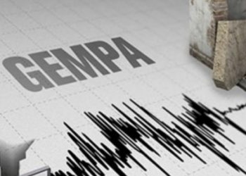 Halmahera Barat Digundang Gempa Bumi Magnitudo 5