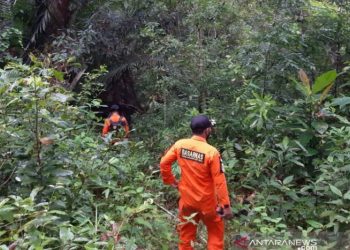 Seorang Lansia Hilang di Hutan Konawe