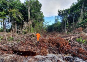 Dua Orang Tersesat di Hutan Sungai Maya Tarakan Belum Ditemukan