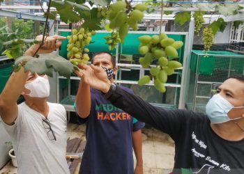 Nasihat Orang Alim Lebih Mudah Diterima Masyarakat Himbau Disiplin Prokes