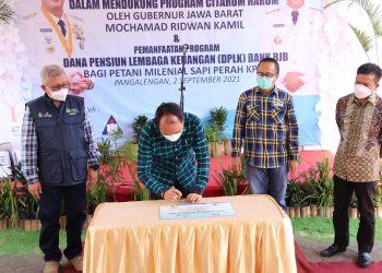 Jabar Dorong Peternak Olah Kohe Jadi Pupuk Organik untuk Kurangi Pencemaran