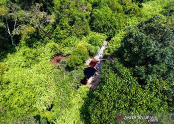 Pengelolaan Gambut Harus Berbasis Situasi Lapangan