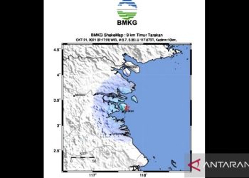 Gempa Tektonik Magnitudo 3,7 Guncang Tarakan