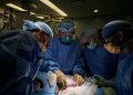 Pertama Kali,  Ahli Bedah Berhasil  Lakukan Transplantasi Ginjal Babi ke Manusia