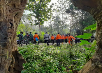 Kakek Usia 80 Tahun Hilang di Hutan Konawe, TNI Polri Ikut Mencari