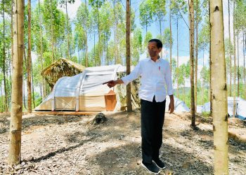 Presiden Jokowi: Perpindahan Ibu Kota Sudah Digagas Para Pemimpin Sebelumnya