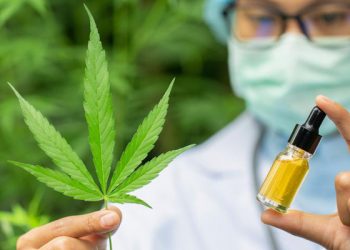Legalitas Ganja untuk Kepentingan Medis harus Jelas