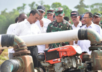 Kementan Siap Cetak Sawah 500 ribu Hektar di Merauke