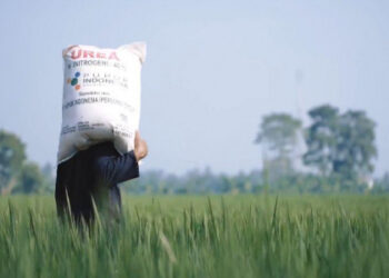 Kementan Dorong Petani Tebus Kuota Pupuk Bersubsidi