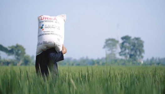 Alokasi Pupuk Bersubsidi Berlimpah Kementan Imbau Petani Segera Tebus (Foto: Biro Humas Kementan)