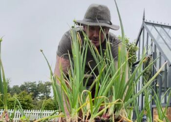 Nikmati Masa Pensiun dengan Berkebun, David Beckham Panen Daun Bawang