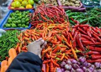 Harga Cabai Tembus Rp78.110 per Kg, Ikan Tongkol Rp53.440 per Kg