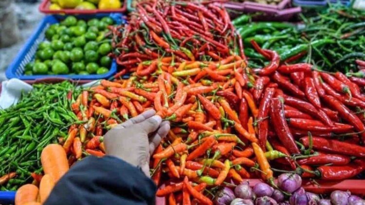 Harga Cabai Tembus Rp78.110 per Kg, Ikan Tongkol Rp53.440 per Kg