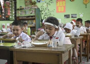Program Makan Bergizi Gratis Dapat Sorotan Dunia, FAO Apresiasi Inisiatif Pemerintah Baru Prabowo-Gibran