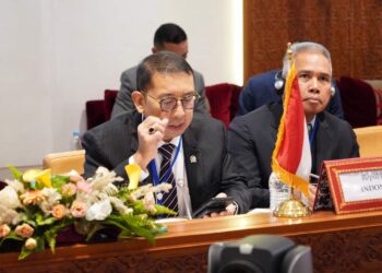Di PUIC, DPR Minta OKI Bersatu Dukung Perjuangan Palestina