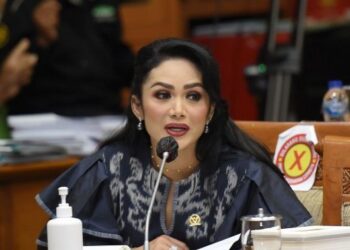 Cegah Angka Kematian Bayi dengan Optimalkan UU KIA