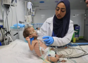 UNICEF: 50 Ribu Anak di Gaza Alami Malnutrisi Akut