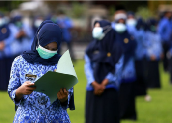 Ribuan Lowongan PPPK Dibuka Resmi, Segera Daftar