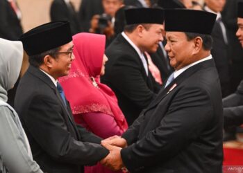 3 Kiprah Strategis dan Tantangan Danantara, Maksimalkan Investasi tapi Tapi Butuh Regulasi