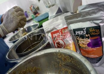 Komisi IX DPR Dorong Obat Tradisional Berbahan Alam Masuk Program JKN