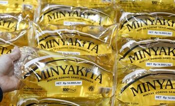 Distributor Minyakita Nakal Bisa Kena Jerat 5 Tahun Bui