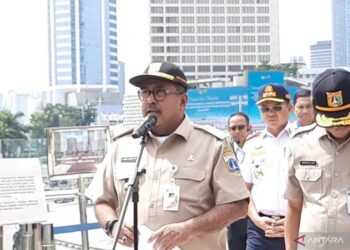 Wagub Rano Karno Imbau Warga Waspada DBD