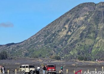 TNBTS: Lokasi Ladang Ganja di Luar Jalur Wisata