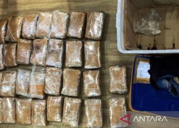 Polisi Sita 7 Kilogram Ganja dari Pria di Jakarta Barat
