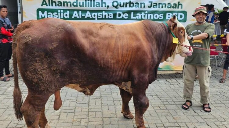 Masjid Al-Aqsha BSD Potong 161 Ekor Hewan Qurban Senilai Rp2,183 M
