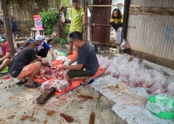 Hewan Qurban dari Masjid Al-Aqsha Delatinos BSD Disalurkan hingga ke Bekasi