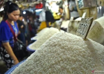 Bapanas: Harga Sejumlah Bahan Pangan Alami Penurunan, Cabai dan Beras Turun Tipis